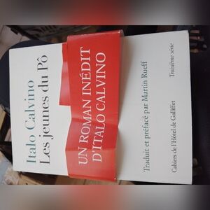 Italo Calvino Les jeunes du Pô Book N
